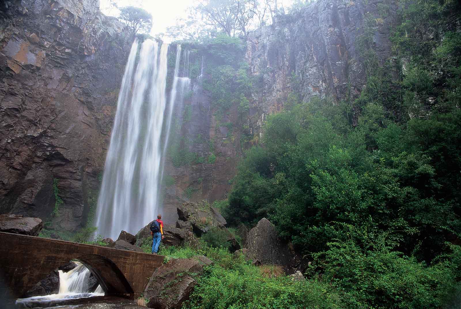 Queen Mary Falls, KIllarney | Image: Tourism and Events Queensland&nbsp;