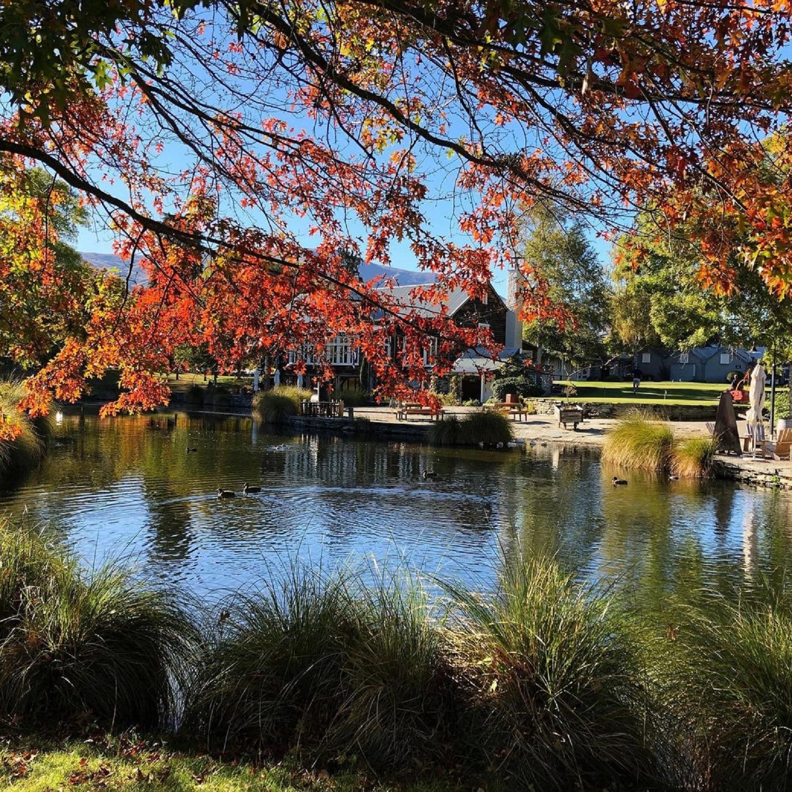 Millbrook Resort Queenstown