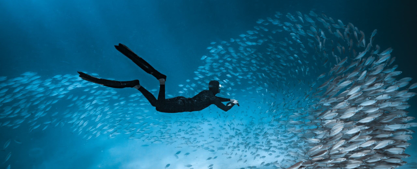 Suba Diving at Palau