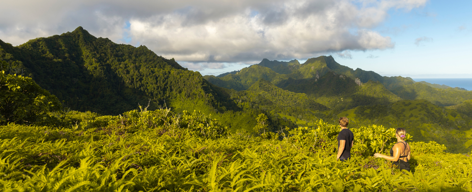 Rarotonga Mountains