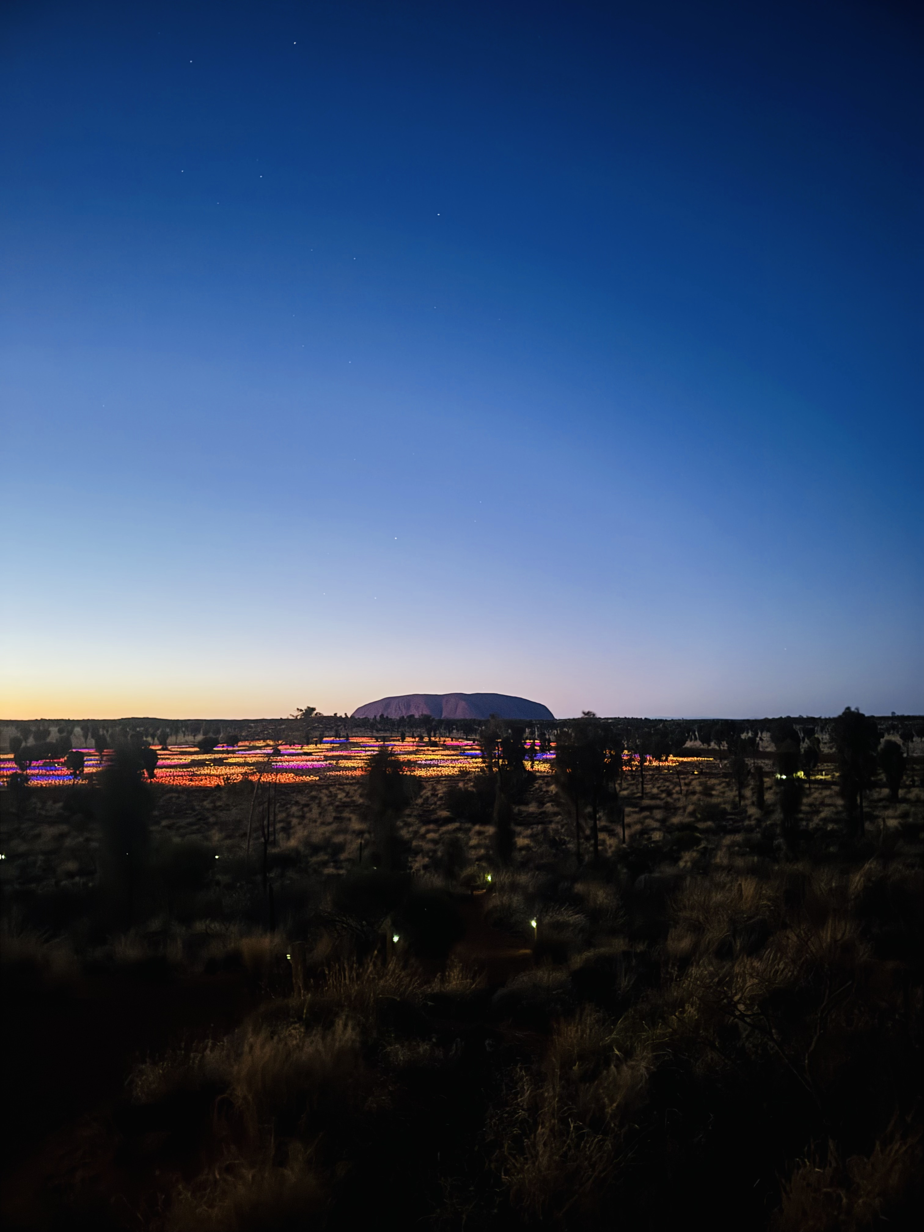 Field of lights sunrise
