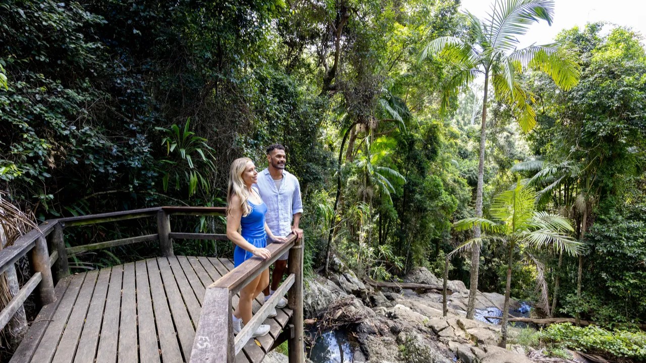 Two people on the  D'Aguilar National Park Maiala Rainforest Circuit Greenes Falls Track 