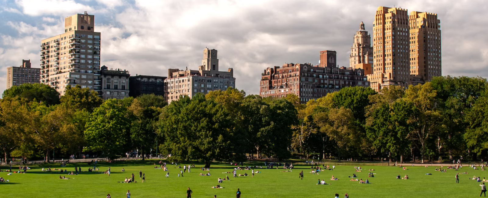 View of Central Park , New York City