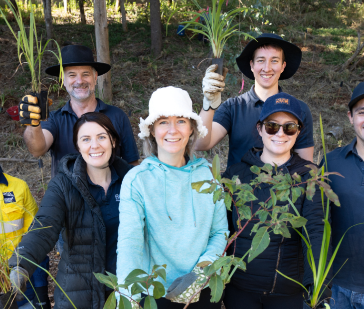 Bulimba Creek Catchment revegetation project
