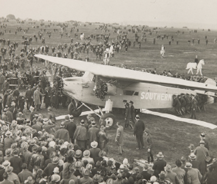 Therapy dogs at Brisbane Airport