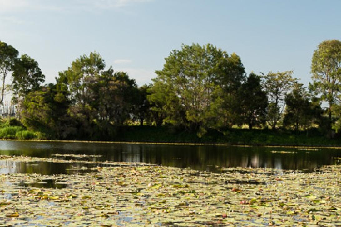 Brisbane Airport Environment 