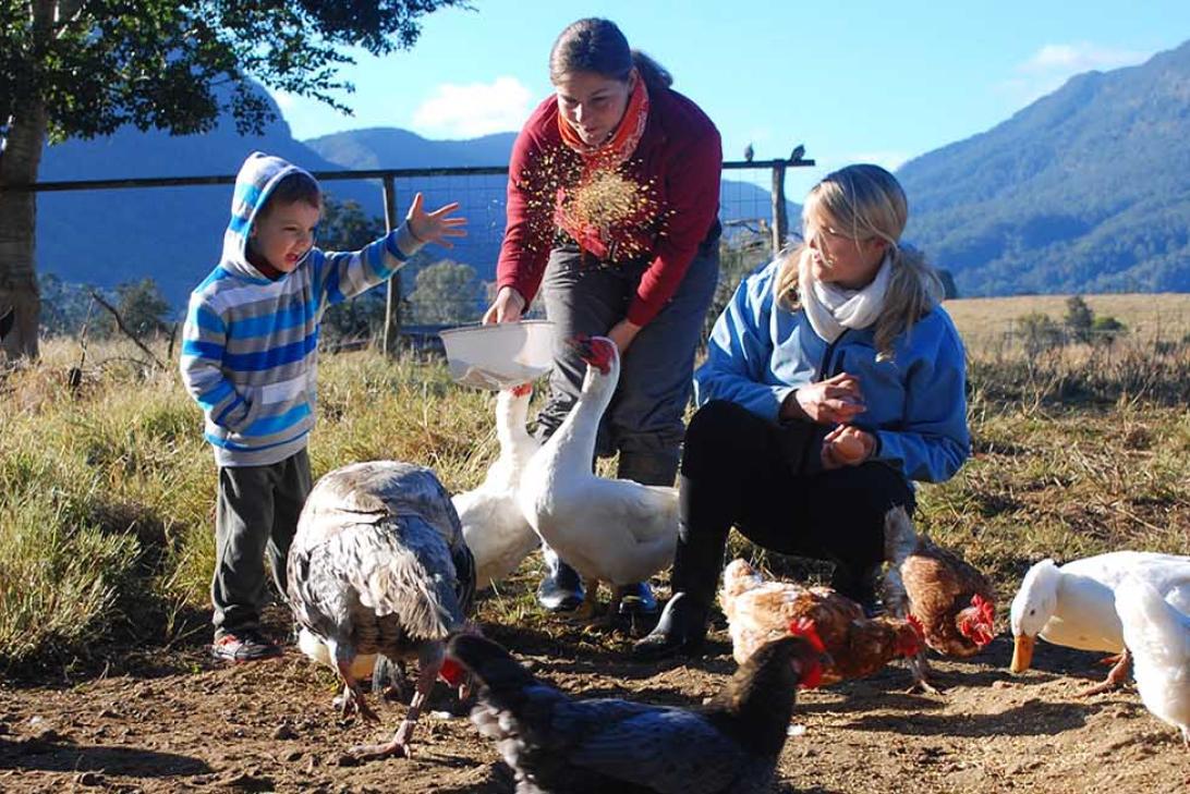 Cedar Glen farm stay at Beaudesert is a working family farm