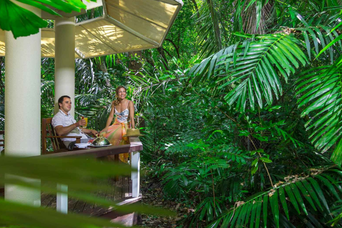 Seek eco-tourism operators on your next holiday