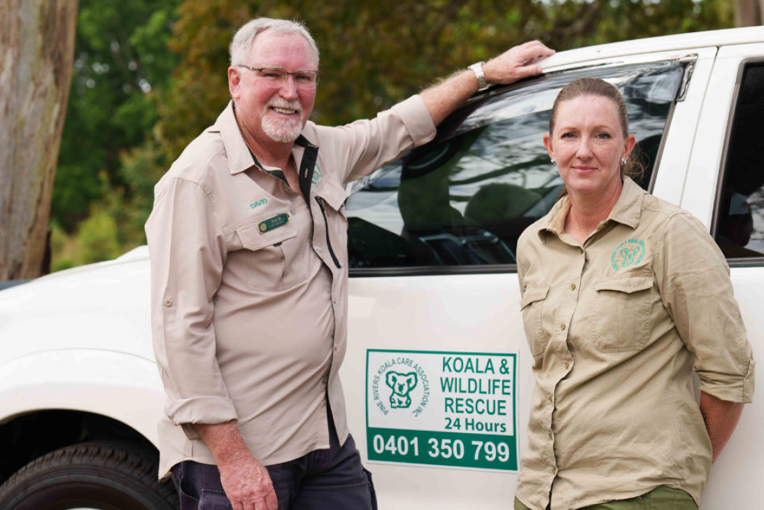 Koala Wildlife & Rescue Team 
